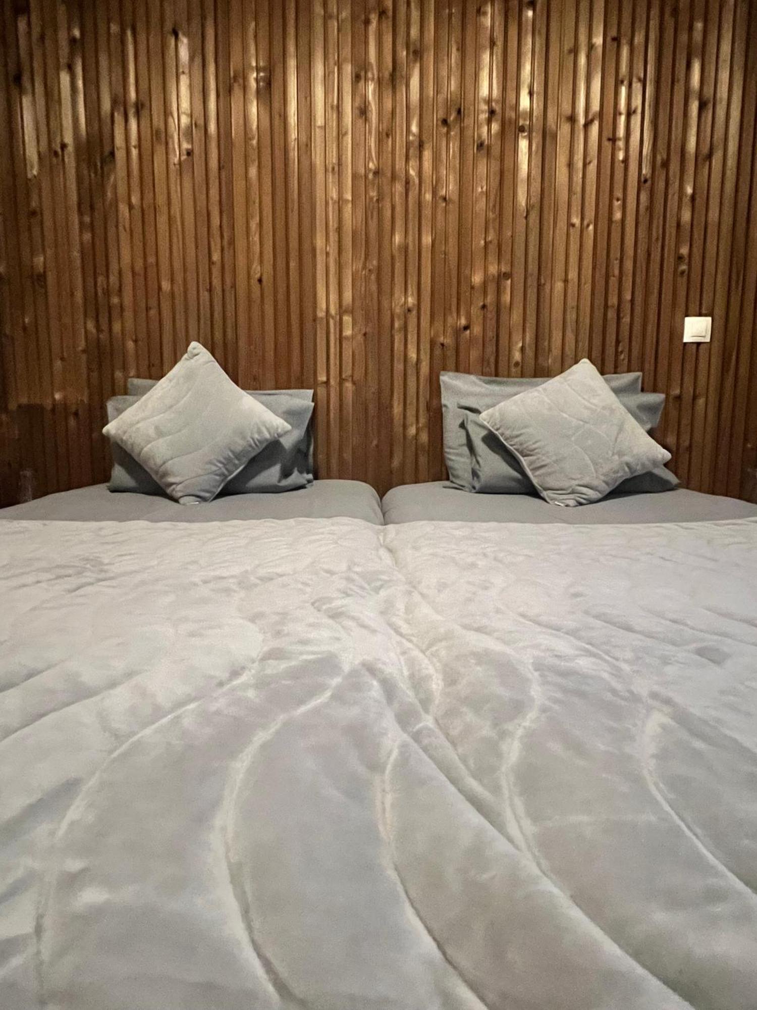 Zasheva Kushta Guesthouse Bansko Exteriör bild